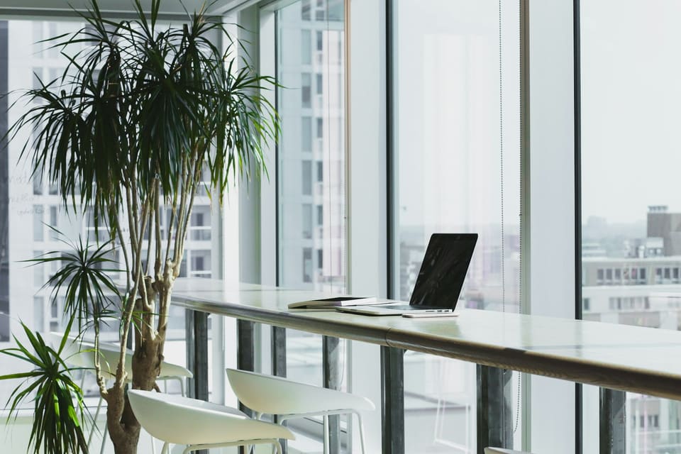 Directors of an established limited company in their office